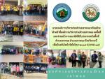 แจกหน้ากาก สู้ โคโรนา 2019
